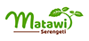 Matawi serengeti Camp